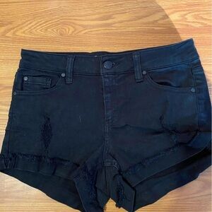 Celebrity Pink Shorts The Honey Size 1/25 (FL)